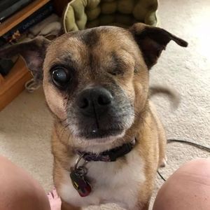 Meet your Posher, Jeanne